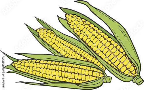 corn on white background