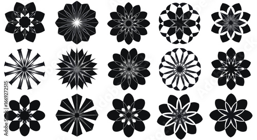 Abstract Black and White Geometric Floral Pattern Vector
