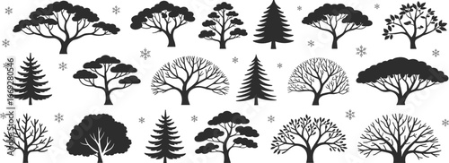 Collection of tree silhouettes, vector illustration, nature design, winter trees, pine and deciduous forest, eco growth concept, abstract artwork