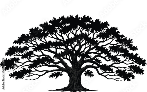 Large oak tree silhouette, ancient forest tree illustration, detailed vector branches, nature symbol, botanical artwork, big strong tree graphic design