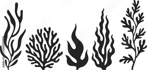 Seaweed silhouette, coral reef vector, underwater plant illustration, marine algae drawing, black sea plant design, ocean nature artwork, tropical underwater elements