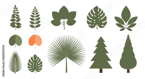 Elegant botanical foliage collection for vibrant spring designs and modern nature themed projects everyone will love