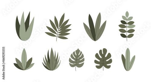 Modern botanical set with stylish green leaves perfect for contemporary designs and nature-inspired projects