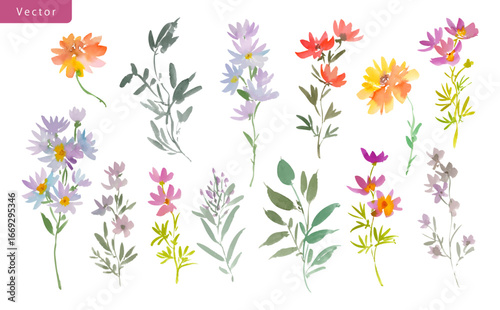 Watercolor Autumn floral clipart set with abstract hand painted wildflowers and leaves. Vector files. Elegant fall floral illustrations for pattern, wedding invitations and stationery.