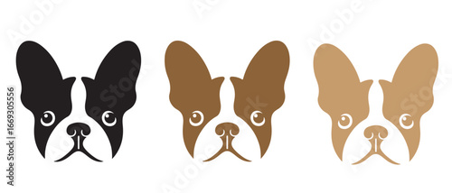 Boston Terrier Dog Face Icon Set. Black, Brown & Tan Variants for Pet Design.