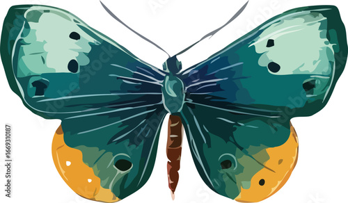 Butterfly vector art