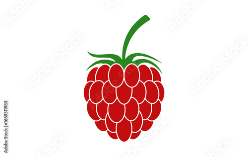 Raspberries logo icon isolated on white background