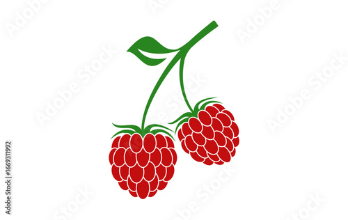 Raspberries logo icon vector, isolated on white background