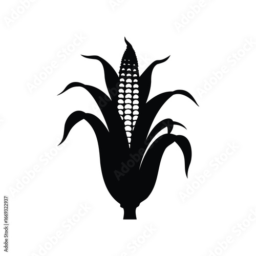 Black Silhouette of Corn Stalk and Ear Isolated on White Background, corn stalk silhouette vector illustration