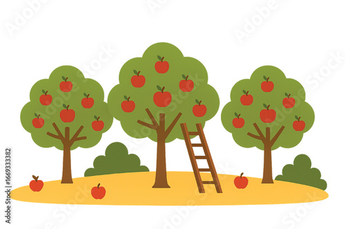 Vector orchard with apple trees and ladder with white background