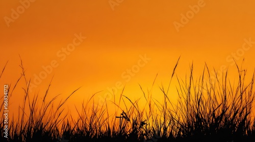 At sunset, the black grass silhouette in the gradient orange and yellow sky creates a tranquil and warm atmosphere, conveying a peaceful and resilient emotion.