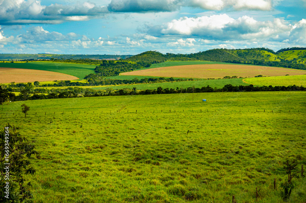 Fototapeta premium Typical landscape of remnant cerrado (savanna) with mechanized soybean farming. Abadiânia, GO, Brazil, 2019