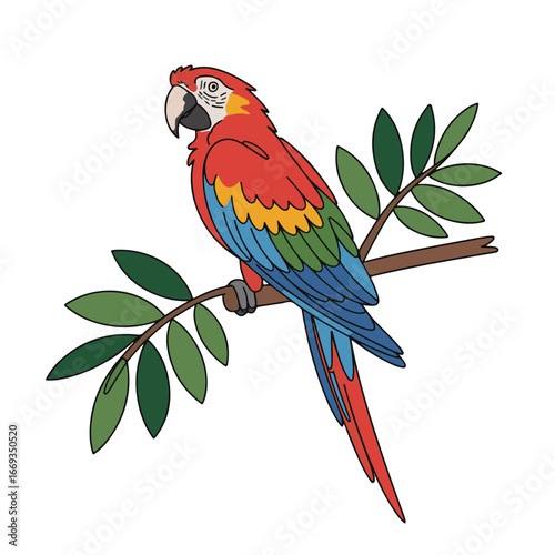 Continuous line of a Parrots .Single one line art of wild Parrots , One continuous line illustration of an Parrots isolated on white background.