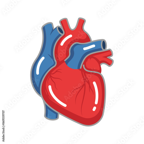 Human Heart Vector Icon for Medical Use