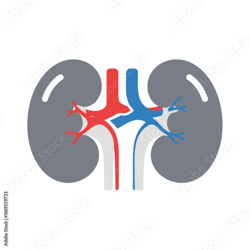 Human Kidney Vector Icon for Medical Use