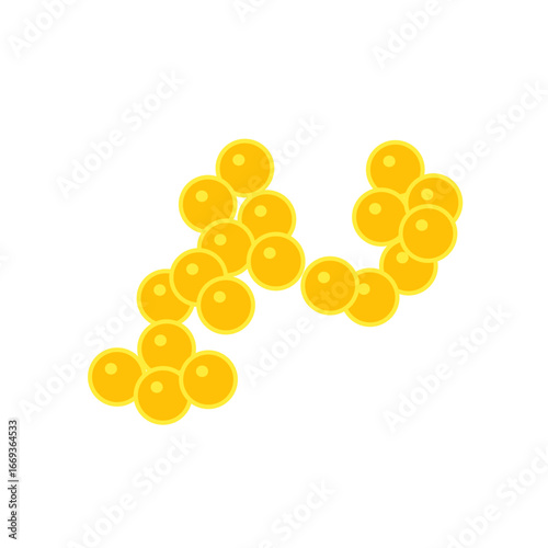 staphylococcus aureus bacteria