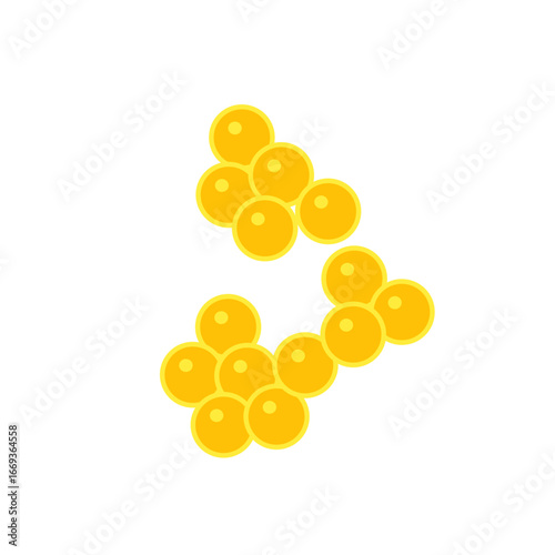 staphylococcus aureus bacteria