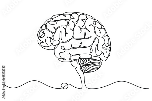 Abstract minimalist single line drawing of a human brain with cerebellum and brainstem on a white background