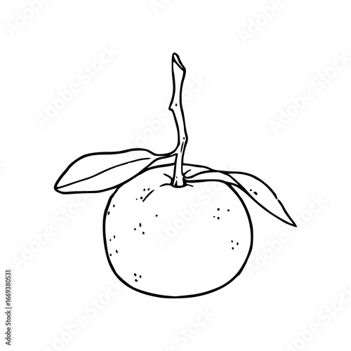 minimalist orange with leaves on a branch