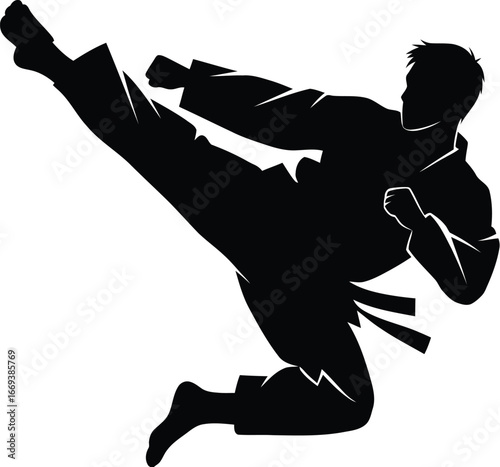 Dynamic silhouette of martial artist executing powerful kick, ready to fight
