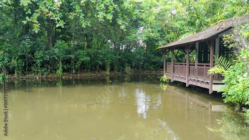 Monitor Lizard Swimming Near Traditional Stilt House – Sungei Buloh Wetland, Singapore (4K)