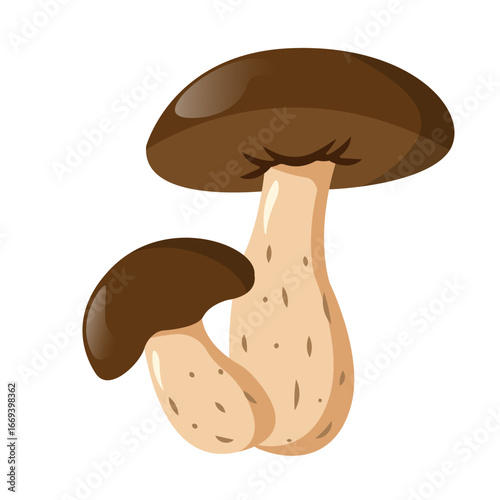 Birch Bolete Mushroom Cartoon isolated on white background. Boletus Vector Illustration. Edible mushroom. Autumn Forest Bolete Mushroom. Flat Simple fall plant food illustration Sticker.