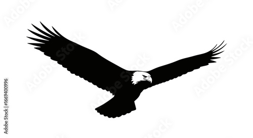 majestic bald eagle in flight, black silhouette, wings spread wide, soaring high, freedom symbol, wildlife, bird of prey, nature