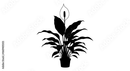 peace lily plant silhouette potted flower, black and white botanical illustration, home decor