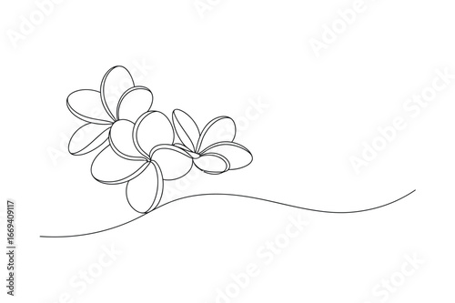 Delicate hand drawn outline of two plumeria flowers with a wavy line on a white background
