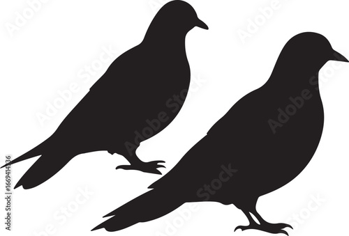  "Two Bird Silhouettes Standing Side by Side"
