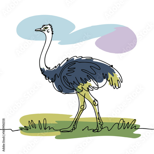 Continuous line of walking standing ostrich .Single one line art of wild ostrich , One continuous line illustration of an ostrich isolated on white background.