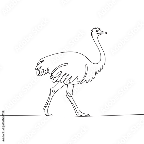 Continuous line of walking standing ostrich .Single one line art of wild ostrich , One continuous line illustration of an ostrich isolated on white background.