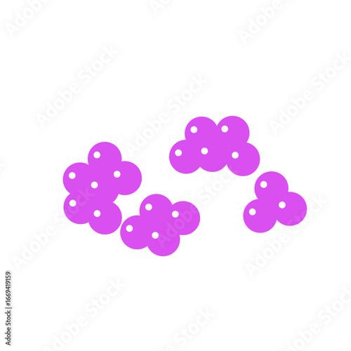 staphylococcus bacteria
