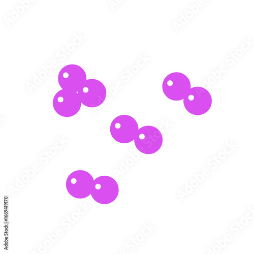 staphylococcus bacteria