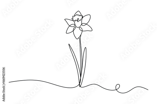 Elegant single line drawing of a daffodil flower with a winding stem on a white background