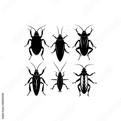 Various kinds of cockroaches silhouettes illustration in black and white for design vector