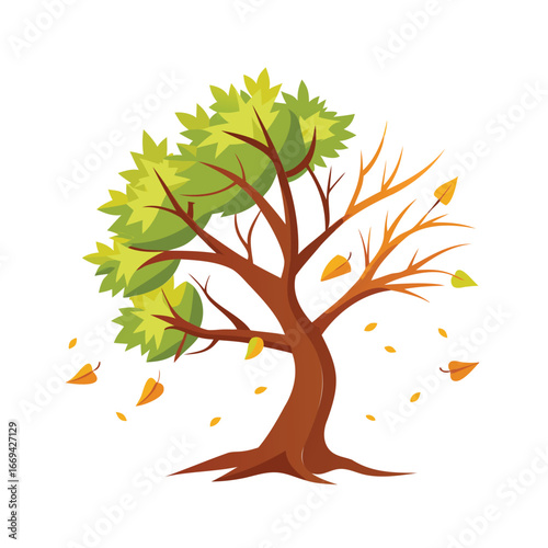 Tree showing transition from summer to autumn with falling leaves
