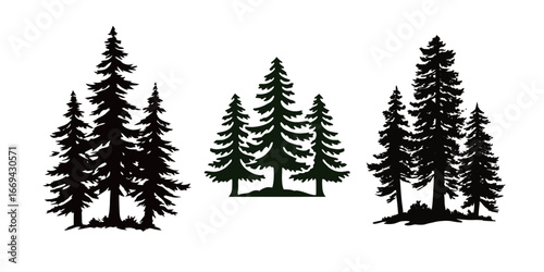 Silhouettes of different types of pine trees grouped together create a seamless design. The trees are placed against a white background, emphasizing their outlines and shapes.