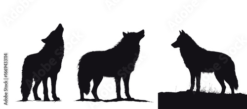 Three wolves are positioned in silhouette, each howling towards the sky. The stark contrast against the white backdrop emphasizes their majestic forms, creating a powerful image of wildness.