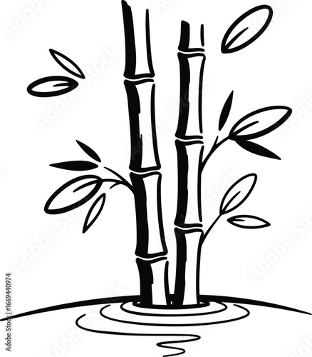 Vector art of elegant bamboo stalks with leaves in water for peaceful designs