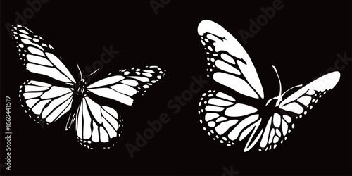 Two detailed butterfly silhouettes are displayed against a black background, highlighting their intricate wing designs and elegant shapes. The contrast enhances their beauty and artistry.