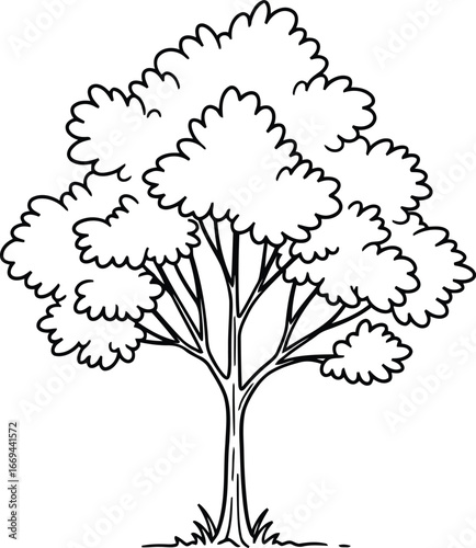Vector art of detailed line art illustration of a tree with abundant foliage and sturdy branches