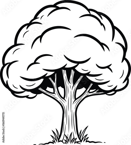 Illustration of a tree with dense foliage and a sturdy trunk