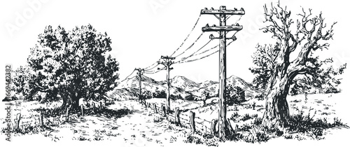 Rural landscape with telephone poles and trees in a sketch style