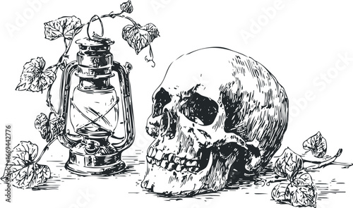 Vintage oil lantern and human skull with ivy plant on white