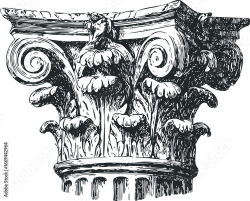 Hand drawn sketch of an ornate Corinthian capital with acanthus leaves and volutes