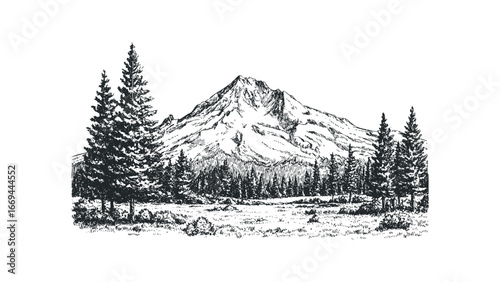 Sketchy Mountain Landscape with Evergreen Trees and Grassy Field. Vector hand drawn illustration