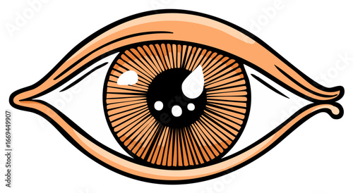 Illustration of a Detailed Brown Human Eye Viewing Looking Observing Seeing