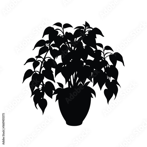 Silhouette of a lush houseplant in a pot, casting a dark form, jungle creeper plant silhouette vector illustration
