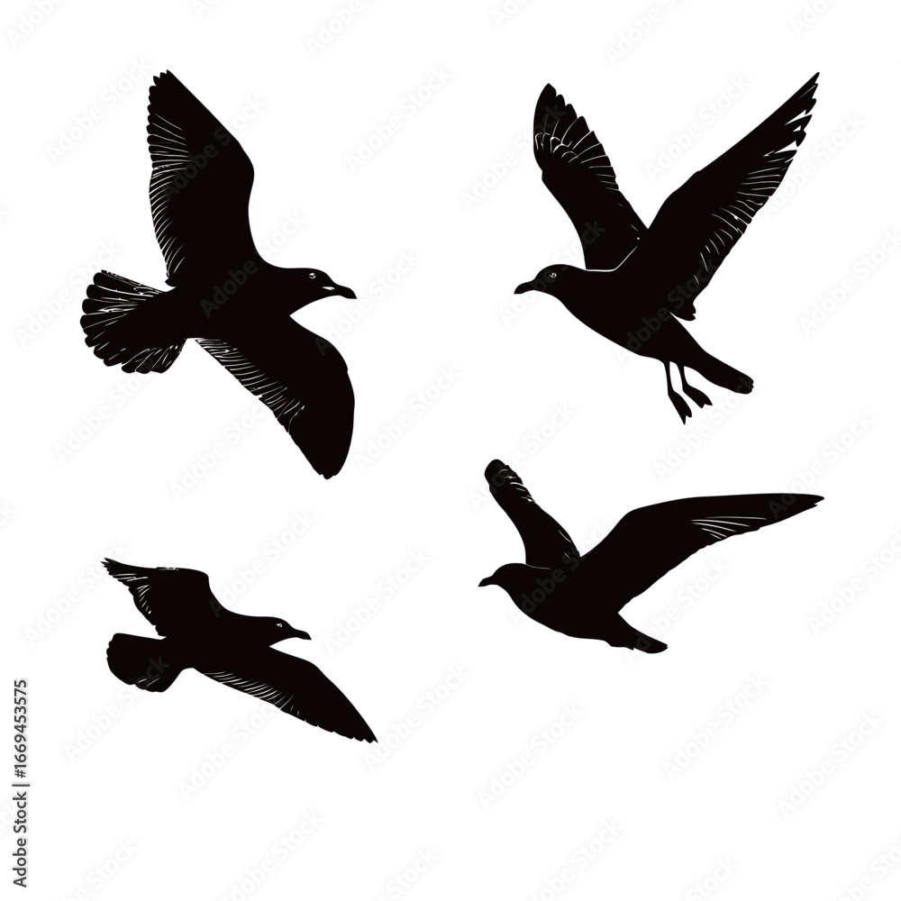 Fototapeta premium Numerous birds soar gracefully through the air, their silhouettes stark against the bright white background. The scene captures their freedom and fluid movement as they navigate the sky.